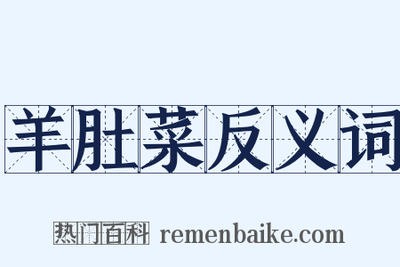 羊肚菜反义词是什么意思的图片